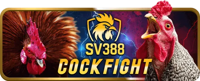 Thưởng Chào Mừng vsbet win