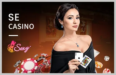 Giấy phép hoạt động vsbet win
